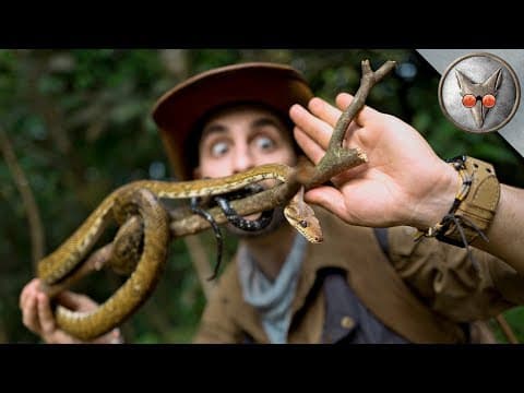 What Happens When You Get Bitten by a Snake in VR180? thumbnail