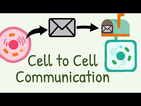 Cell to Cell Communication || Types of signaling thumbnail