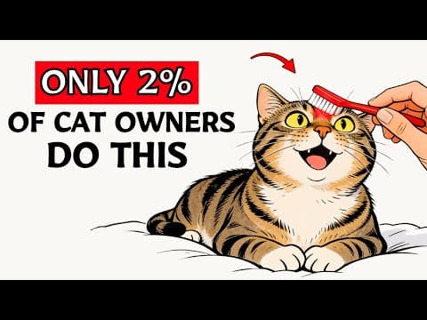 7 Things Cats Love and Only 2% of Owners Actually Do thumbnail