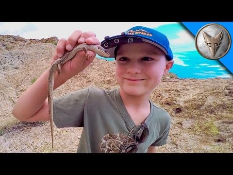 What Animals Can You Find at the Boyce Thompson Arboretum? thumbnail