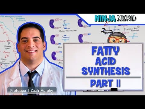 Metabolism | Fatty Acid Synthesis: Part 2 (Updated) thumbnail