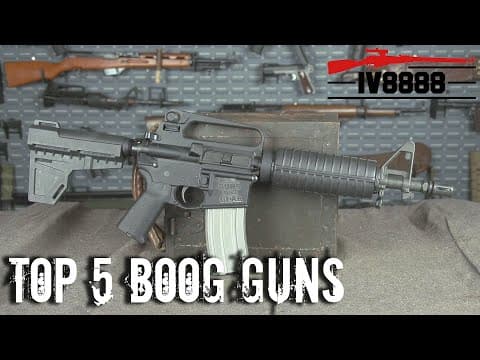 Top 5 Boogaloo Guns thumbnail