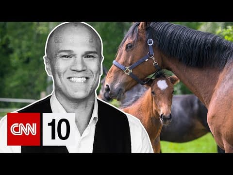 How scientists proved horses really can smell fear | January 16, 2026 thumbnail