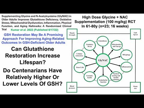 Glycine + N-Acetyl Cysteine Supplementation Increases Lifespan thumbnail