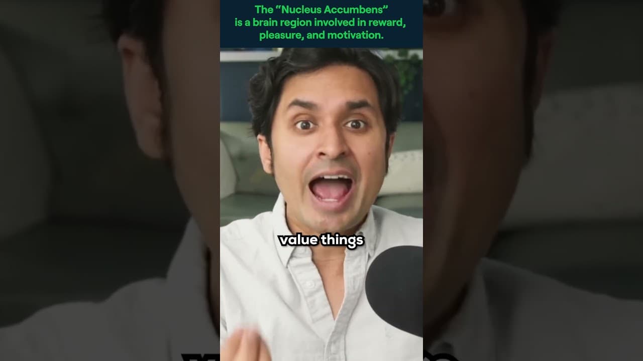 YouTube video player