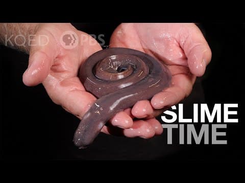 Have You Met a Hagfish? It’s About Slime | Deep Look thumbnail