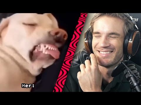 Try Not To Laugh Ț̴̈́r̷̹͐y̸̪͝ ̴̳̔Ņ̴͌o̴̹̕t̴̪͌ ̴̼͘T̶̠͝o̸͔̅ ̷̘̽L̶͌ͅâ̶̦u̴͓͊g̵̫̍h̵̭͊!̸̯̕ thumbnail