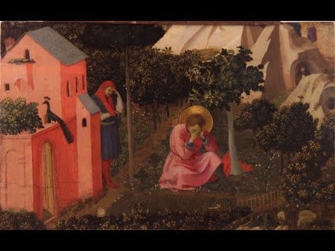 The Intellectual Development of St Augustine in the Confessions  [Lecture] thumbnail