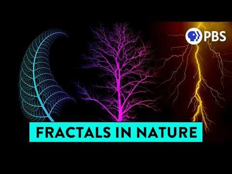 Why trees look like rivers and also blood vessels and also lightning… thumbnail