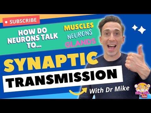 Synaptic Transmission | How Neurons Communicate thumbnail
