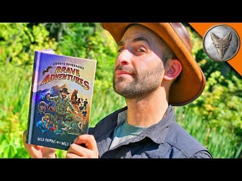 SNEAK PEEK! Brave Adventures Book! thumbnail