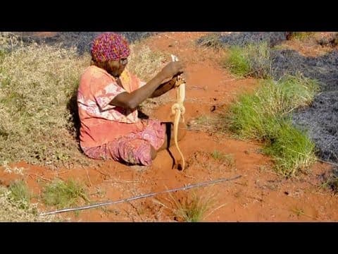 Fire Hunting in Australia thumbnail