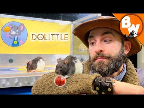 What Do Animals Think About the Movie Dolittle? thumbnail