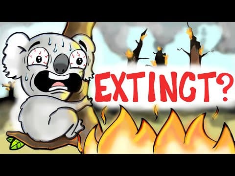 How Do Wildfires Affect Animals? thumbnail
