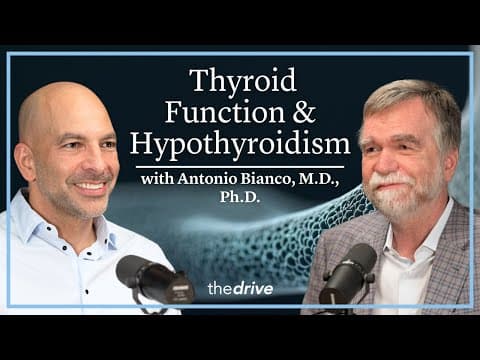 373 – Thyroid function & hypothyroidism: how new approaches are transforming care thumbnail