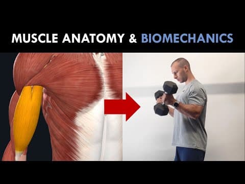Muscle Anatomy & Biomechanics | Exercise Selection for Hypertrophy Training thumbnail