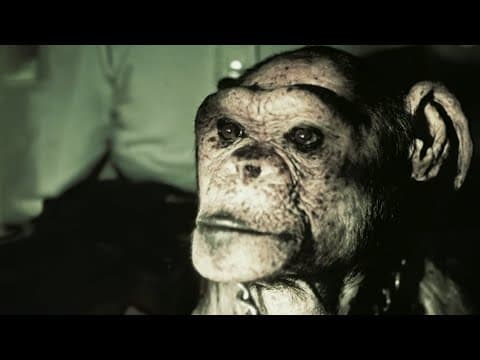 Man or Ape? The Genetic Mystery of Oliver | Our World thumbnail