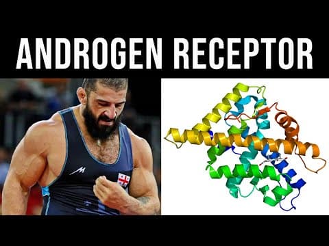 Testosterone is Overrated Unless You Prioritise This One Thing thumbnail