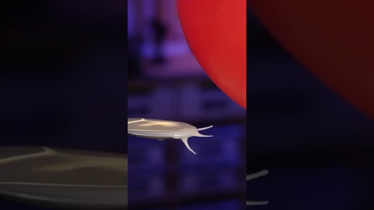 YouTube video player