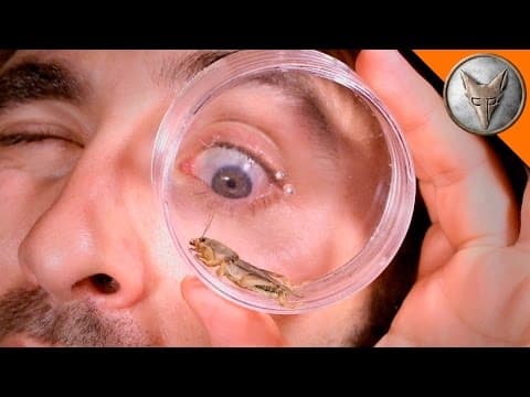 How Do Mole Crickets Burrow Underground? thumbnail