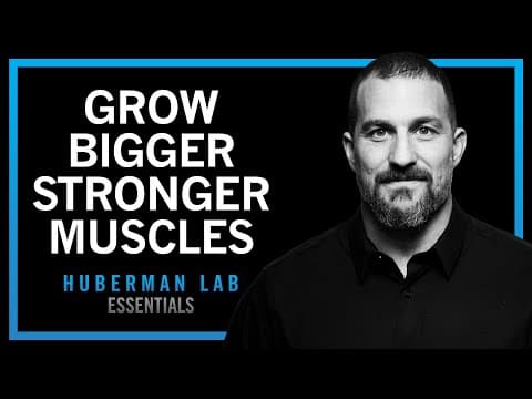 How to Build Muscle and Increase Strength thumbnail