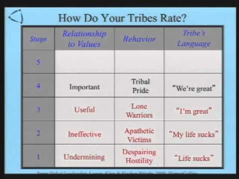 Tribal Leadership thumbnail