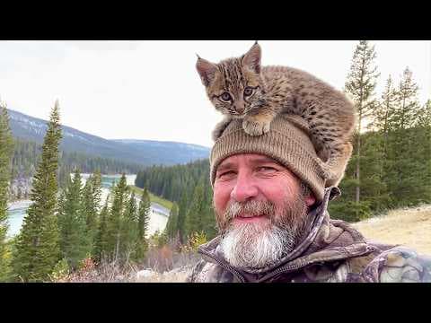 He Was Just Setting Up His Camera—Then the Bobcat Distribution System Chose Him thumbnail
