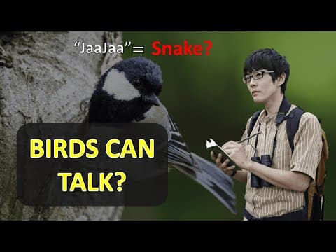 After 20 Years, This Scientist Proved Birds Can Talk and Use Grammar thumbnail