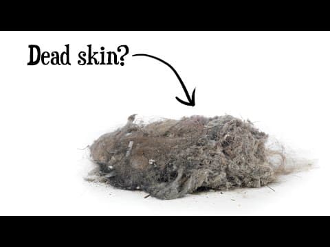 What Percentage of Household Dust Is Dead Skin? thumbnail