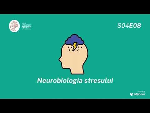 S04 Ep08 - Neurobiologia stresului, prietenul care devine dușman thumbnail
