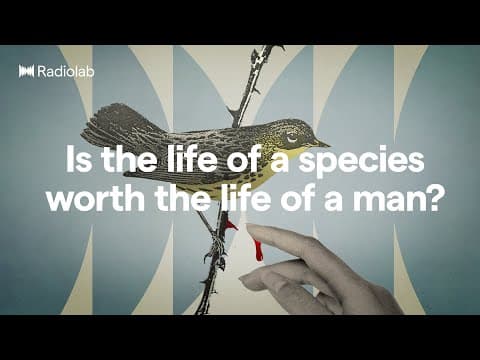 Weighing Good Intentions | Radiolab Podcast thumbnail