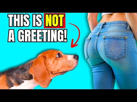 When Dogs SNIFF Your Butt, This Is What It Really Means thumbnail