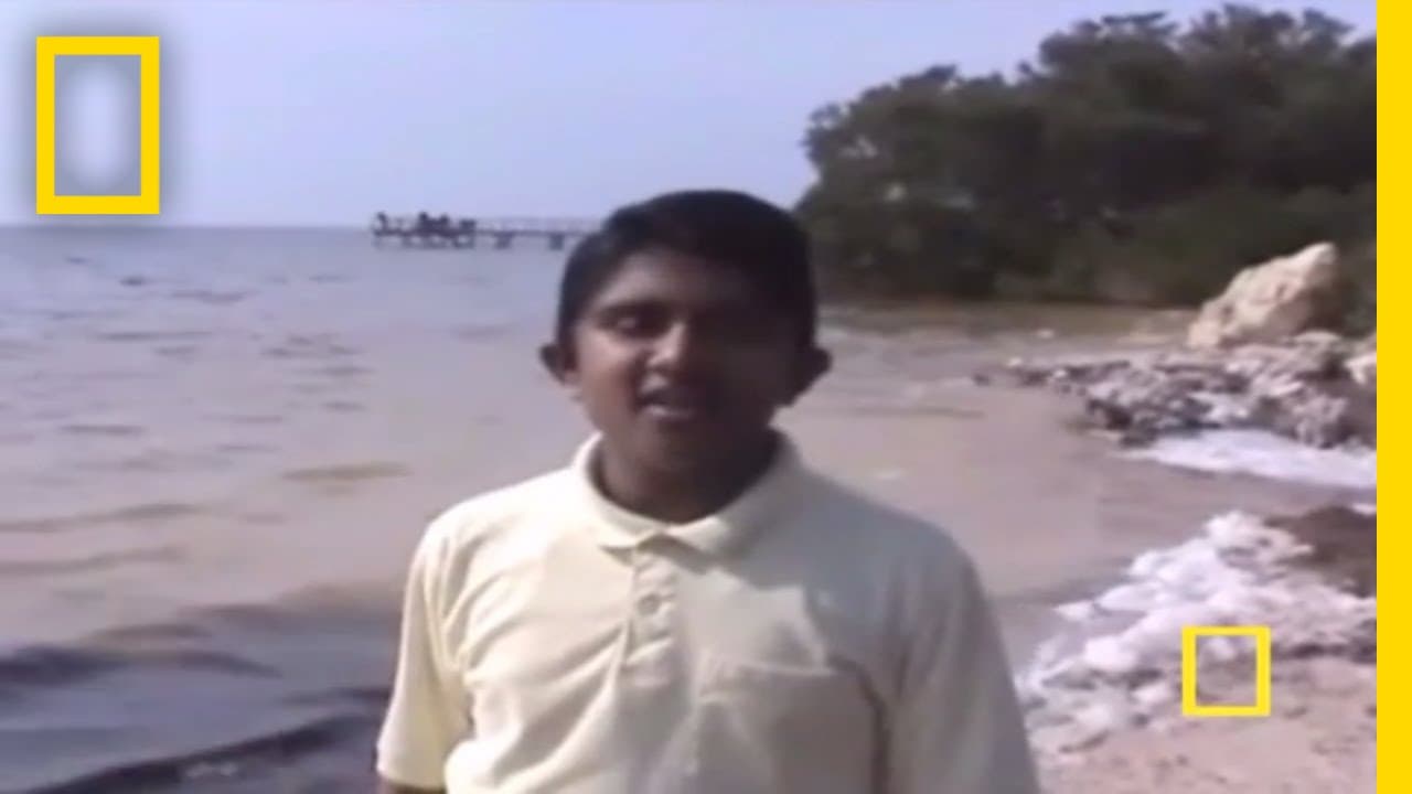 YouTube video player