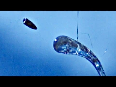 Can an AK-47 Break a Prince Rupert's Drop? thumbnail