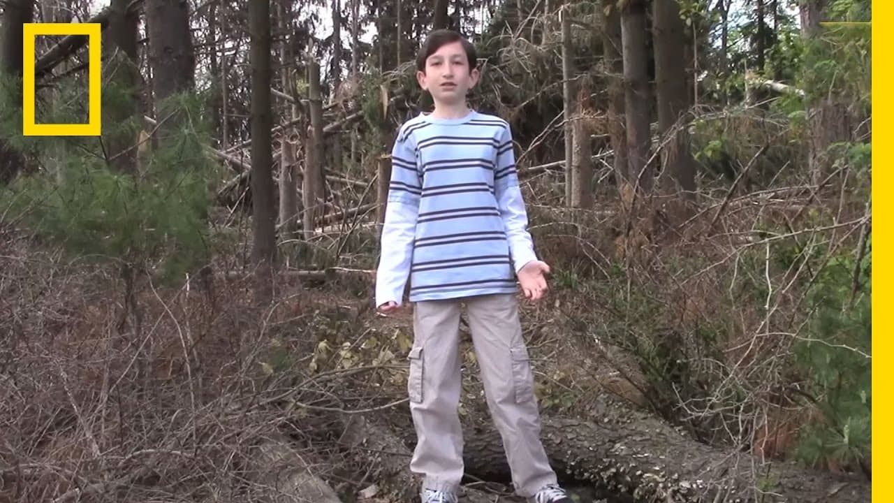 YouTube video player