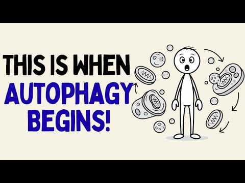 The Exact Hour Your Body Starts Autophagy (Most People Never Reach It) thumbnail