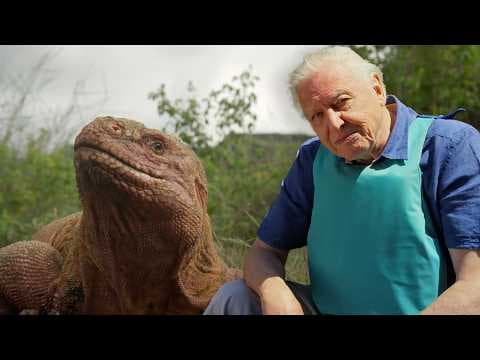 The Evolution of Life with David Attenborough (4K Documentary) thumbnail