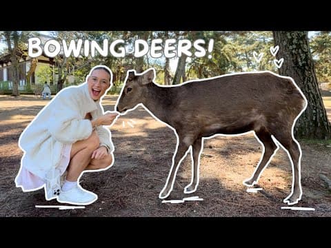 Day 9 In Japan! - Bowing Deers, Shopping Haul & Japanese BBQ! thumbnail