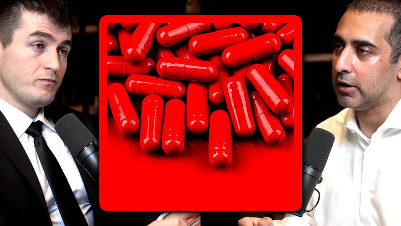 YouTube video player