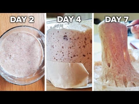 How To Make A Sourdough Starter From Scratch •  Tasty thumbnail