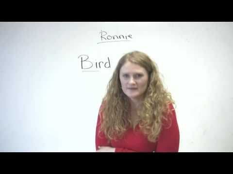 Pronunciation - Words starting with B (bird, beard, bear, bare...) thumbnail