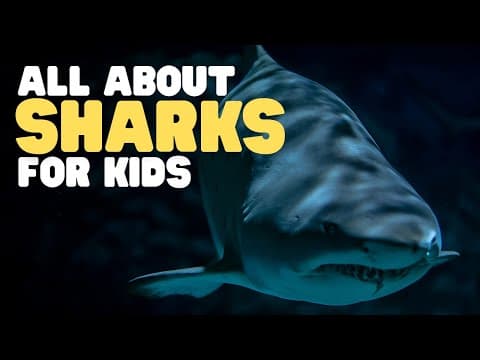 All About Sharks for Kids | What is a shark? Shark facts for kids thumbnail