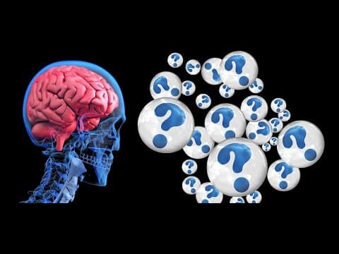 What Is the Fermi Paradox and Our Role in It? thumbnail