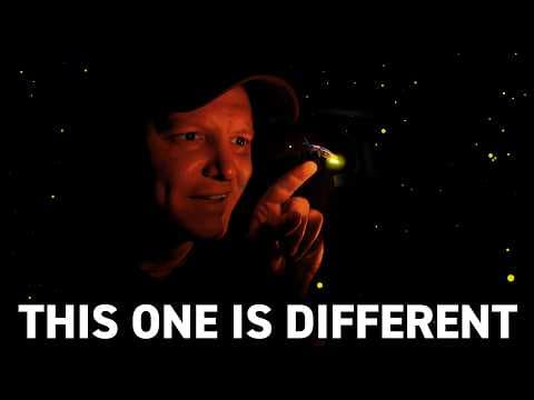 The Mystery of Synchronous Fireflies - Smarter Every Day 274 thumbnail