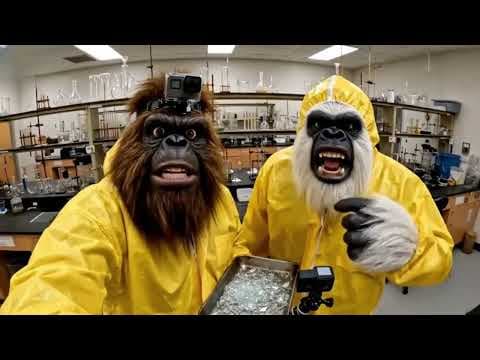Bigfoot Vlogs - Compilation #1 thumbnail