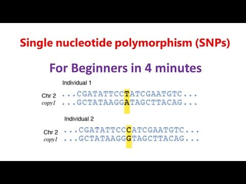 Single nucleotide polymorphism | SNPs | SNPs for beginners | thumbnail