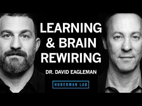 Science & Tools of Learning & Memory | Dr. David Eagleman thumbnail