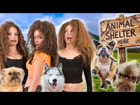 Kalogeras Sisters VOLUNTEER AT AN ANIMAL SHELTER! thumbnail