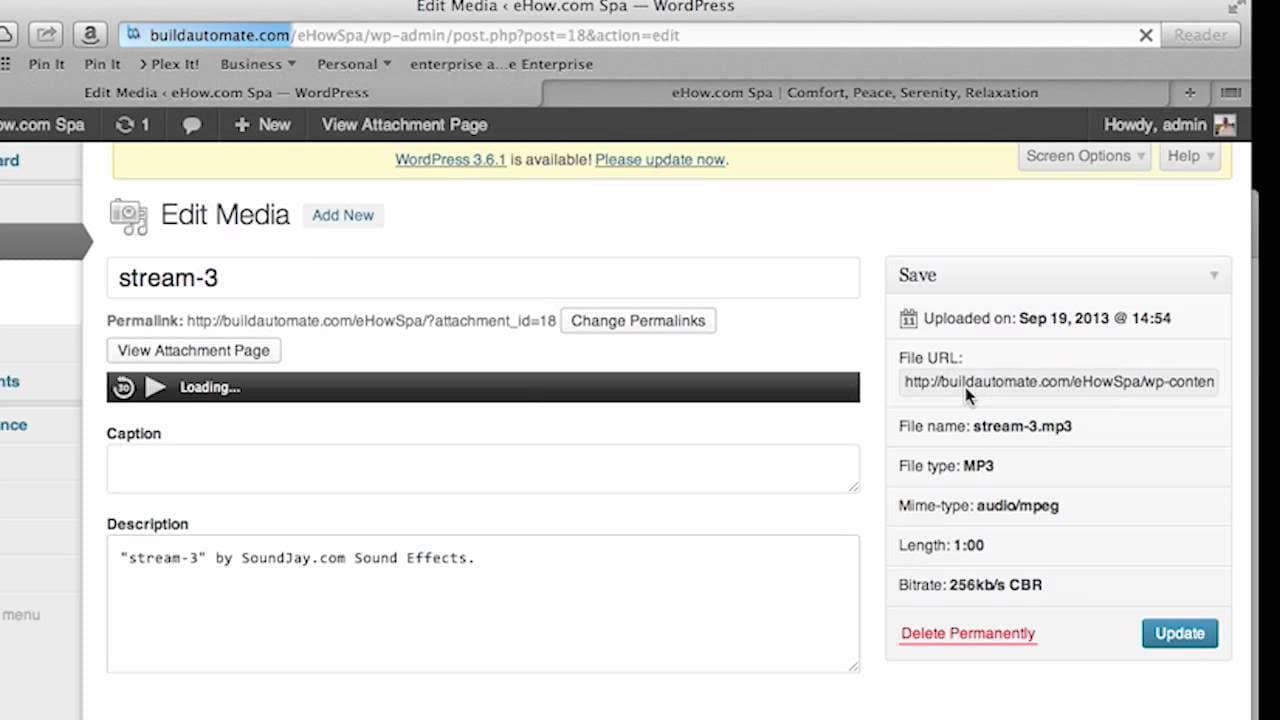 YouTube video player