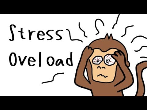 The Real Reason Monkey Is Always STRESSED (And How to Fix It) thumbnail
